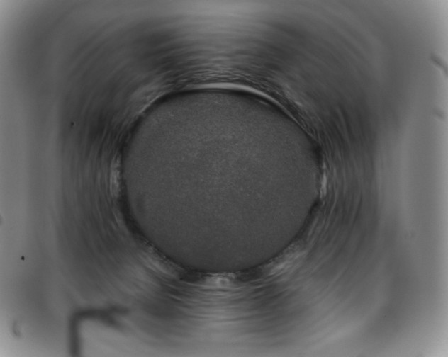 X0000097860080200803141247