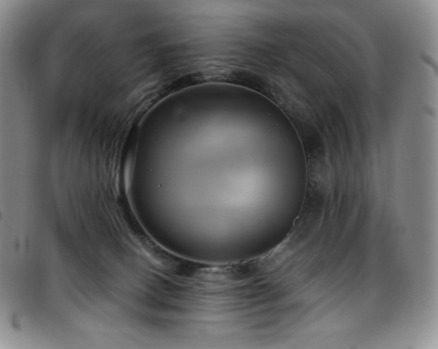 X0000097860082200803141247