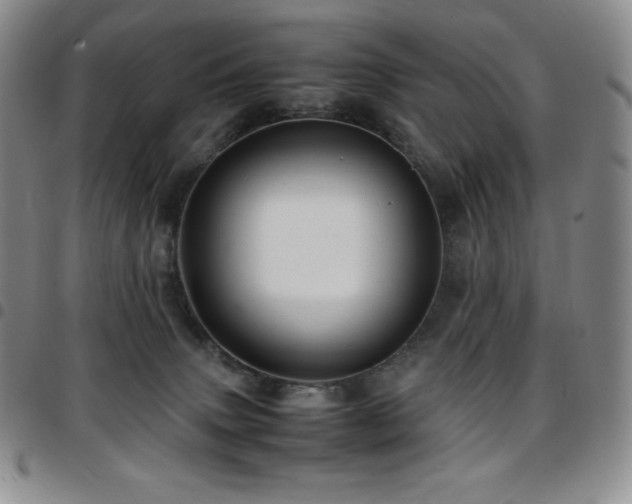 X0000097860083200803141247