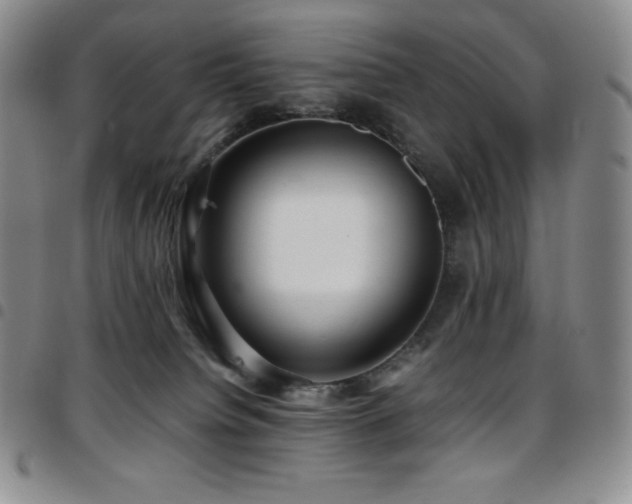 X0000097860084200803141247