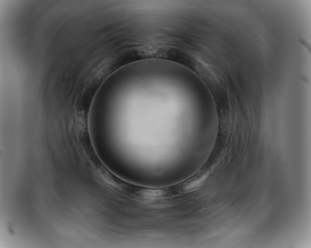 X0000097860085200803141247