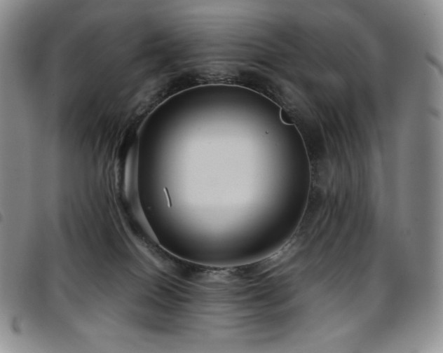 X0000097860086200803141247