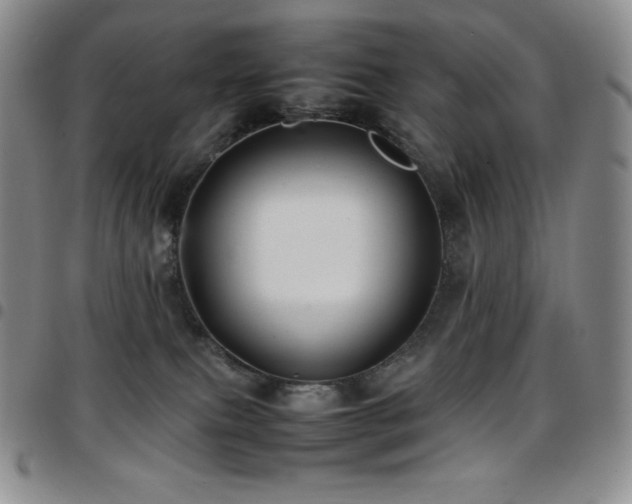 X0000097860087200803141248