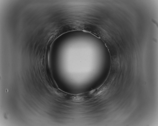 X0000097860088200803141248