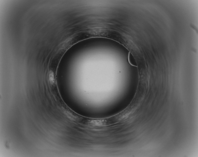 X0000097860089200803141248