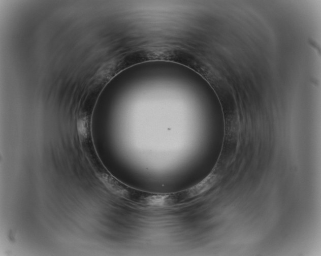 X0000097860090200803141248