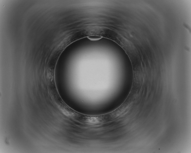 X0000097860091200803141248