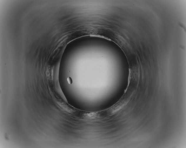 X0000097860092200803141248