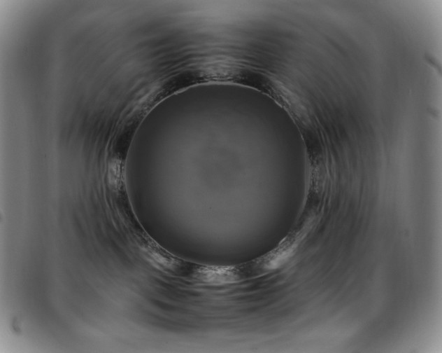 X0000097860093200803141248