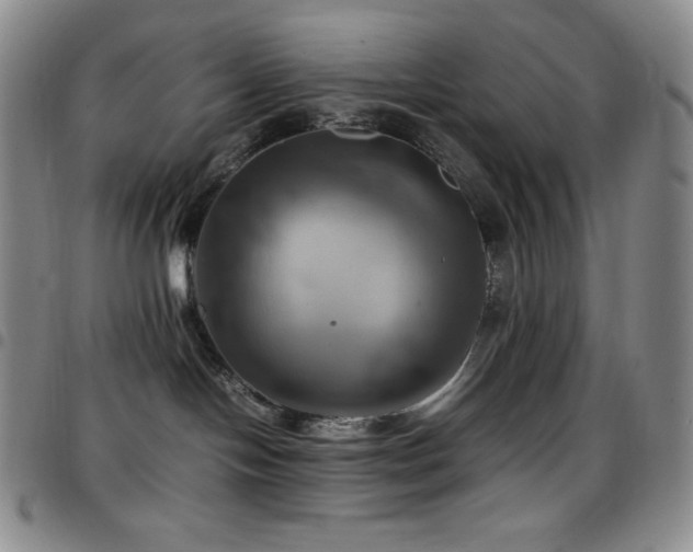 X0000097860094200803141248