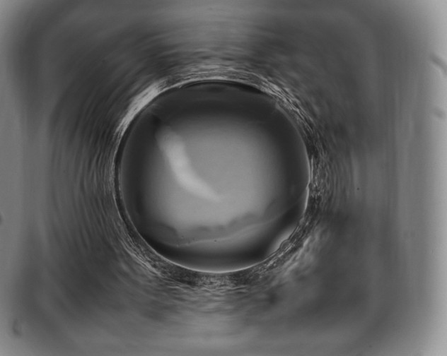 X0000097860099200803141247