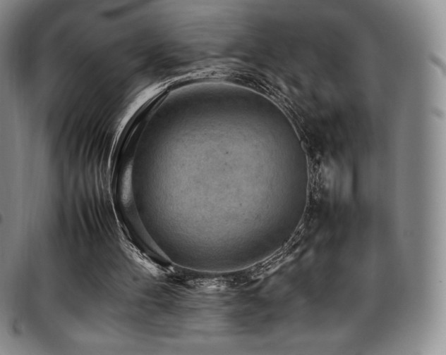 X0000097860100200803141247