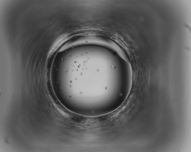 X0000097860101200803141247