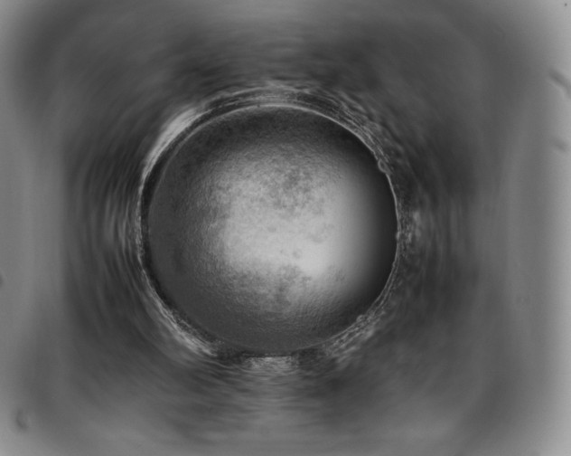 X0000097860102200803141247