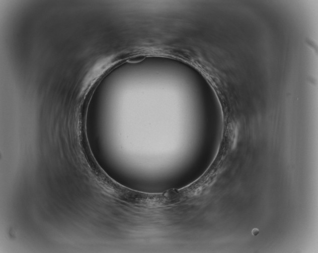 X0000097860103200803141247