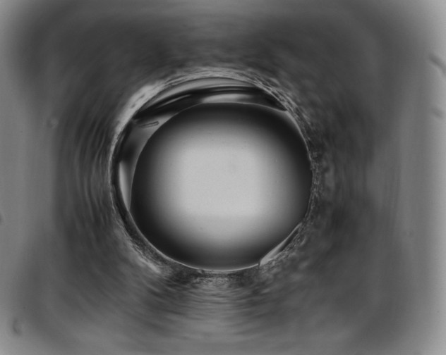 X0000097860104200803141247