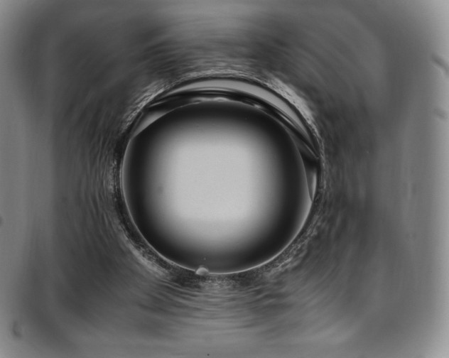 X0000097860105200803141247