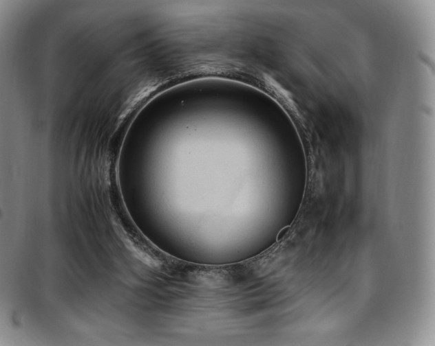 X0000097860106200803141247