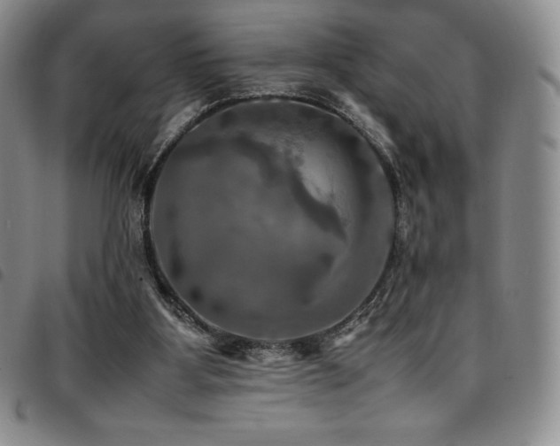 X0000097860107200803141247