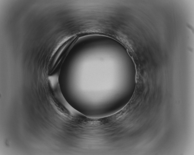 X0000097860108200803141247