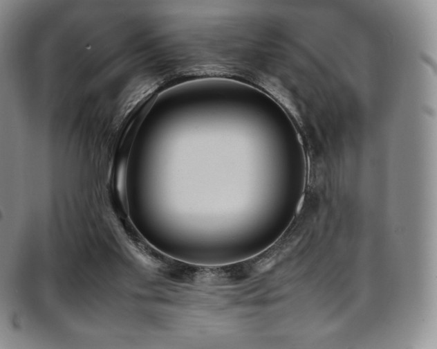 X0000097860109200803141247