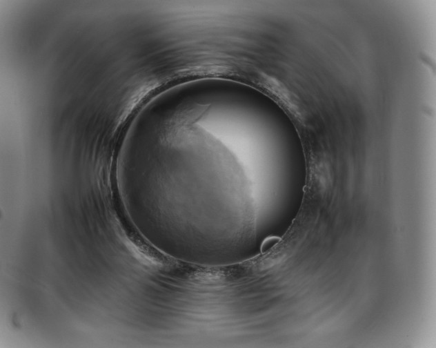 X0000097860110200803141247