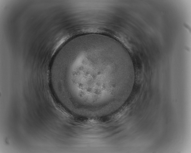 X0000097860111200803141247