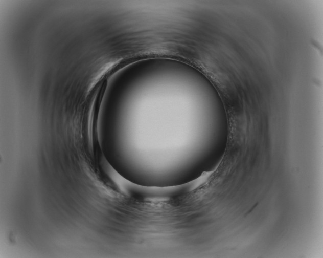 X0000097860112200803141247