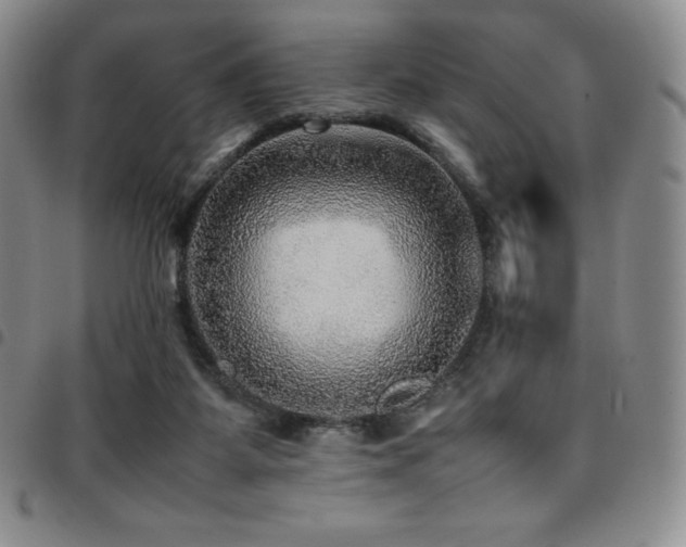 X0000097860115200803141247