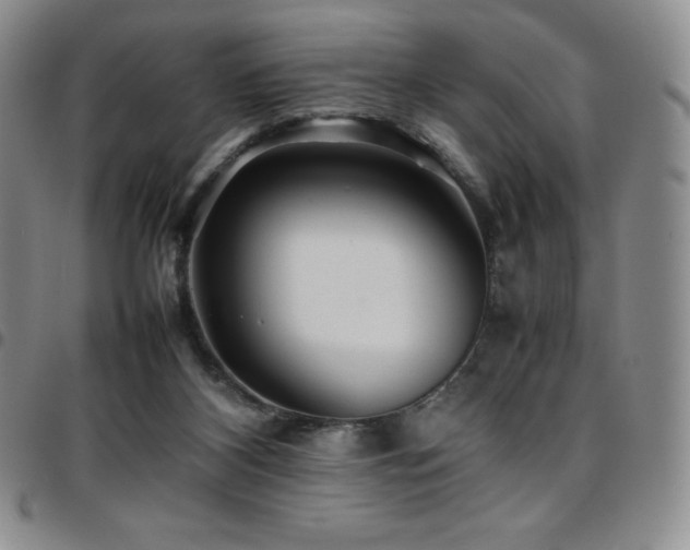 X0000097860116200803141247