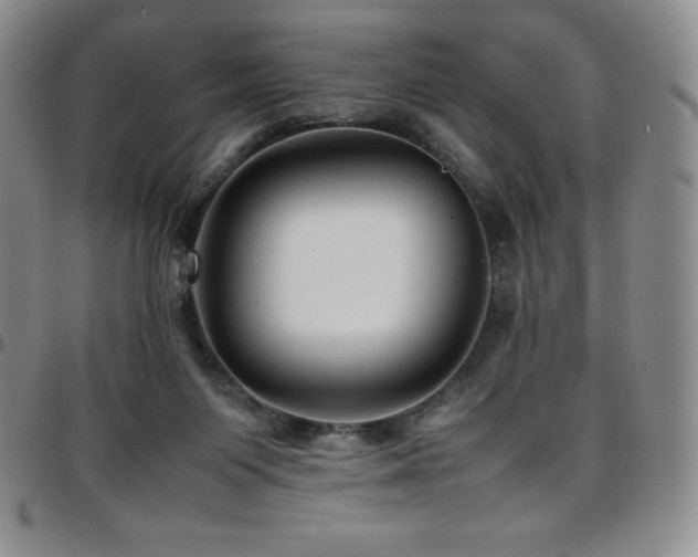 X0000097860119200803141247