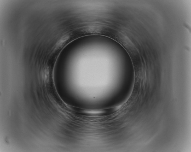 X0000097860120200803141247