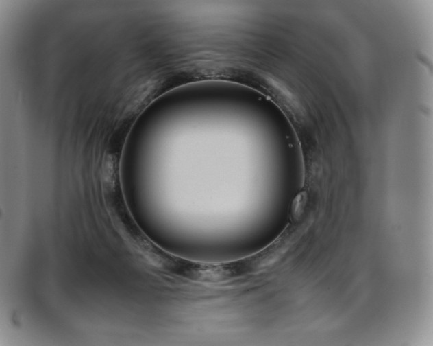 X0000097860121200803141247