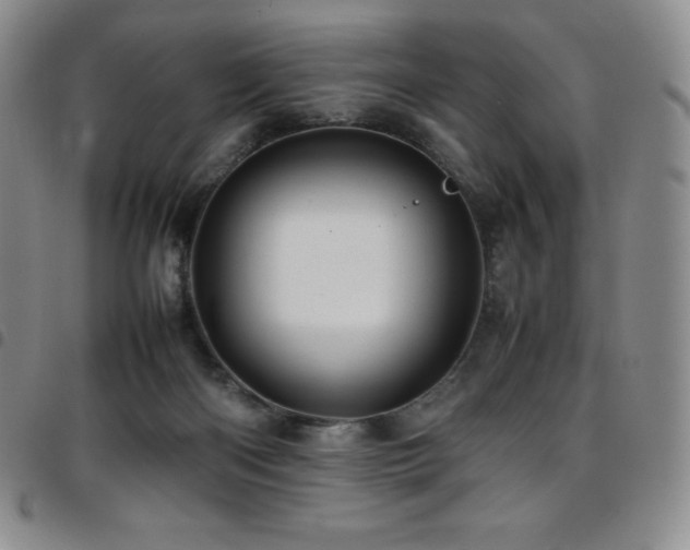 X0000097860122200803141247