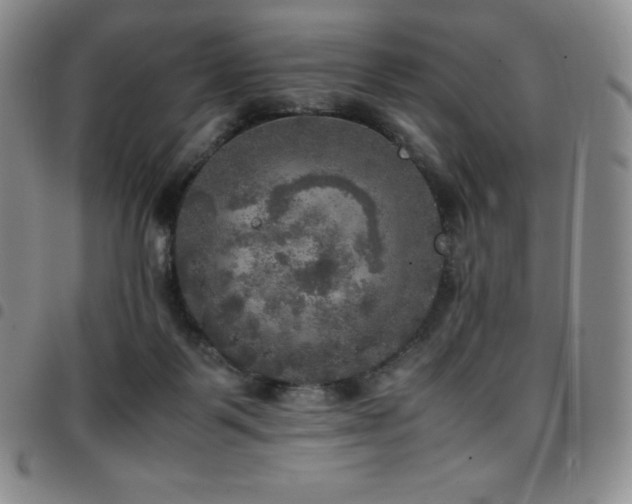 X0000097860123200803141247