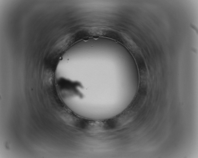 X0000097860125200803141247