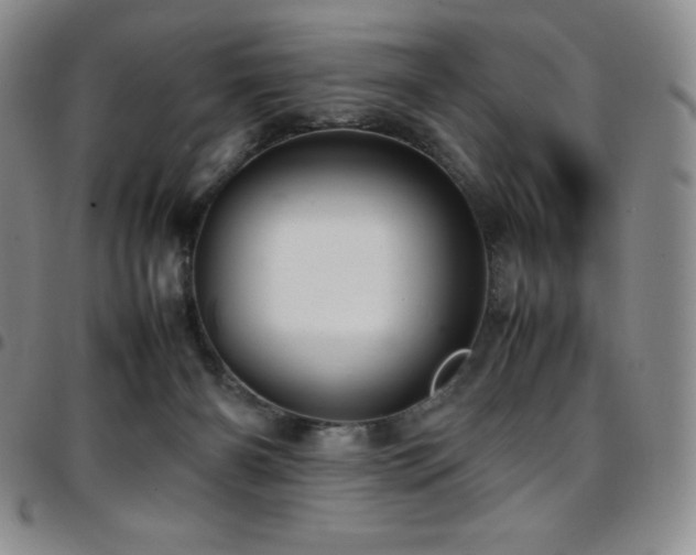 X0000097860126200803141247