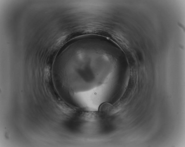 X0000097860127200803141247