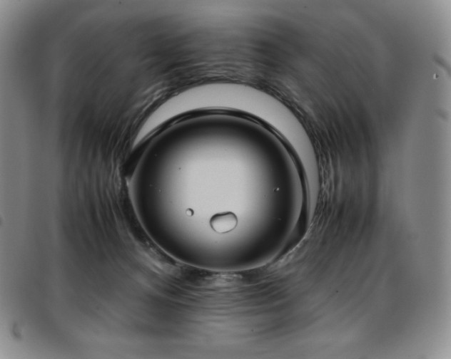 X0000097860128200803141247