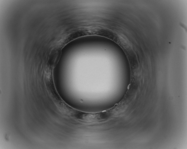 X0000097860129200803141247