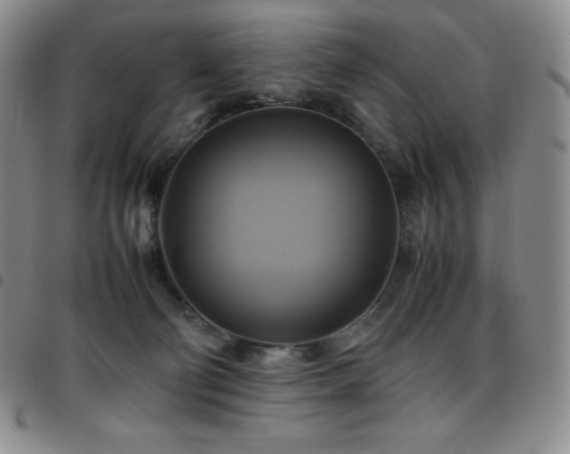 X0000097860130200803141247