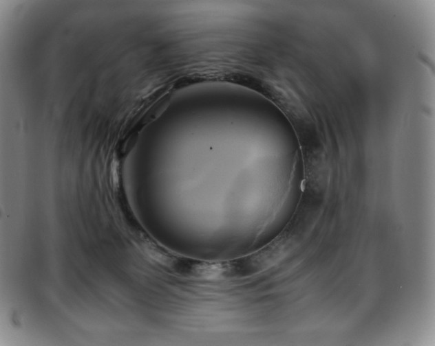 X0000097860131200803141247