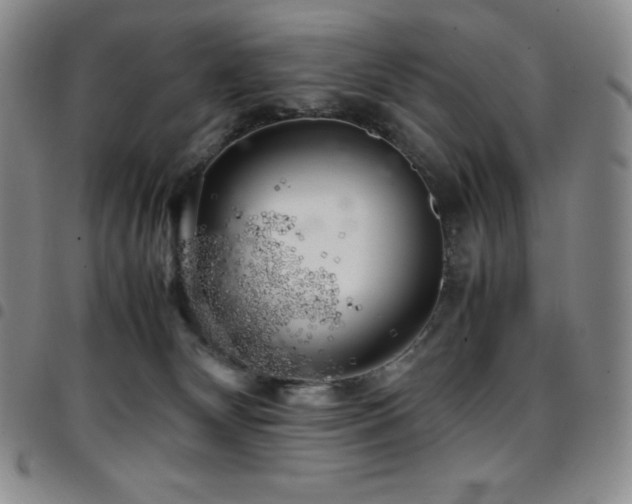 X0000097860132200803141247