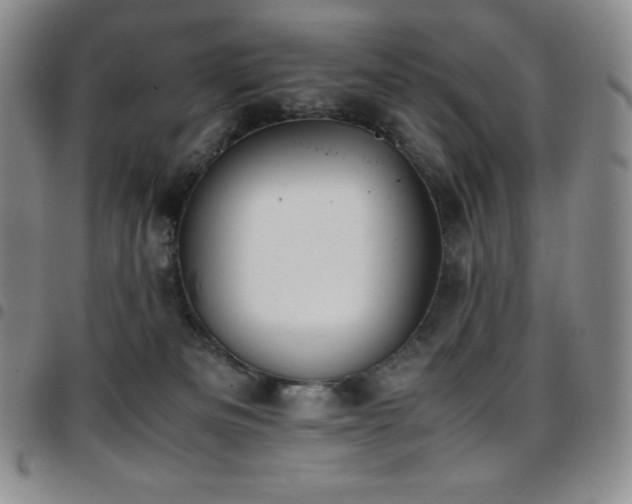 X0000097860133200803141246