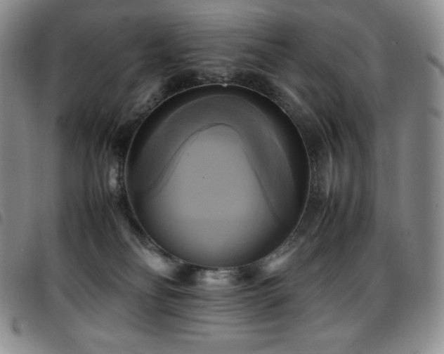 X0000097860134200803141246