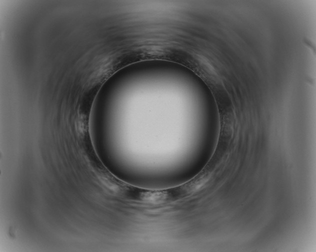 X0000097860135200803141246