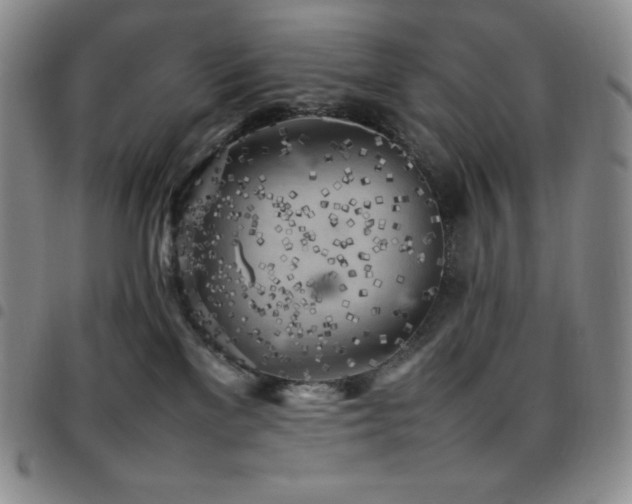 X0000097860137200803141246