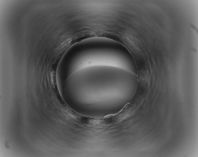 X0000097860139200803141246