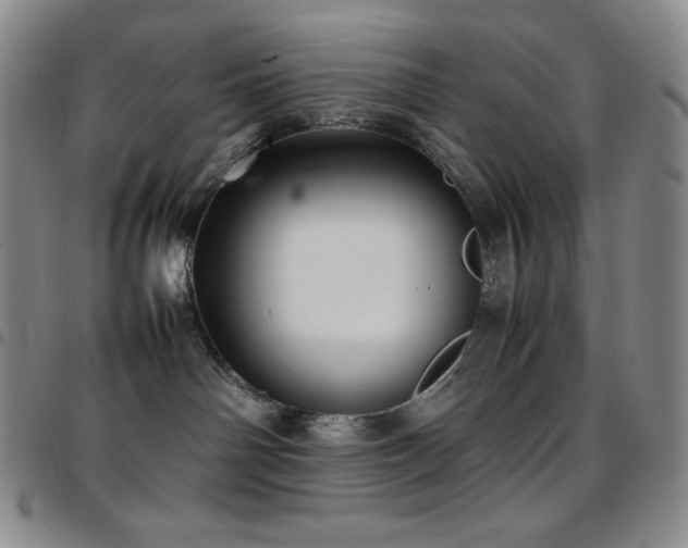 X0000097860142200803141246