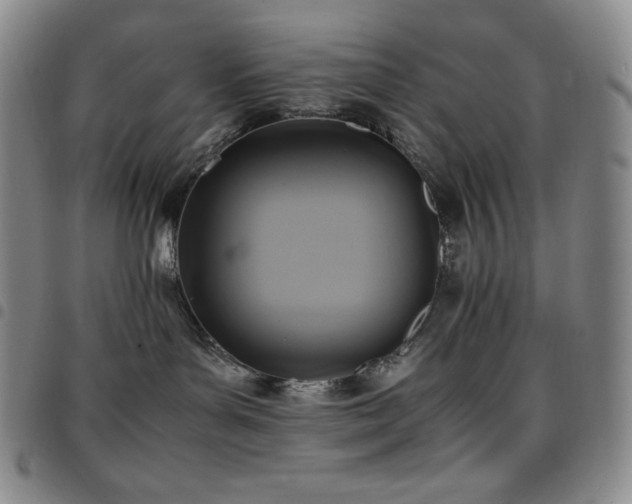 X0000097860143200803141246